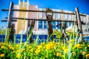 Стартовало народное голосование конкурса &laquo;Миллион цветов&raquo;