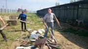 Добровольцы столицы провели уборку в пункте передержки бродячих собак