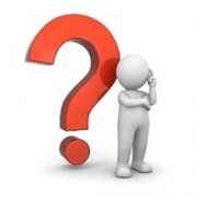 Предварительное голосование: каковы уроки?