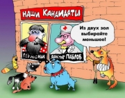 Шоу начинается!